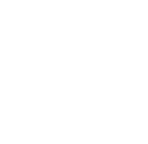 PDF BOOK
